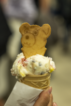 Lody z lodziarni MIŚ w Gdańsku w rożku, udekorowane ciasteczkiem w kształcie głowy misia w okularach